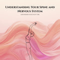 Understanding Your Spine and Nervous System